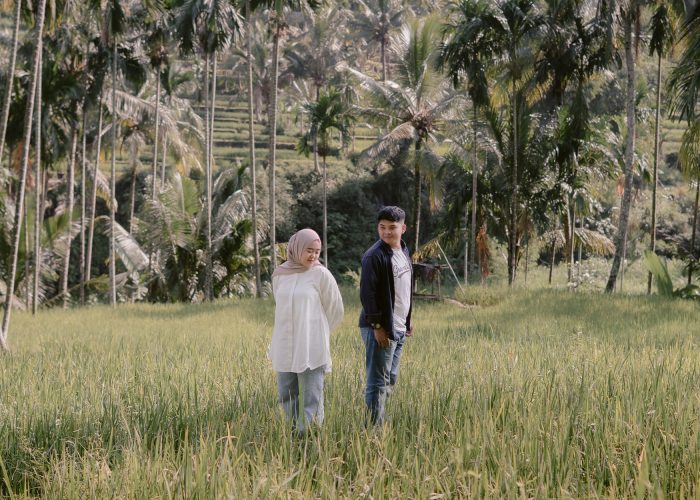 Lely & Terys Akad